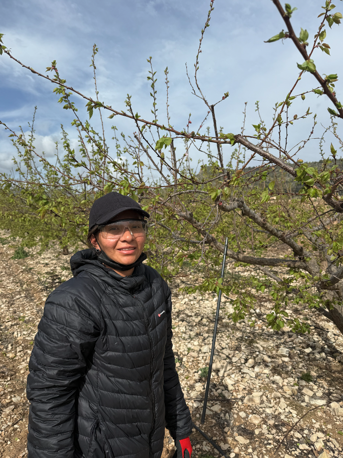 Captura de Pantalla 2026 03 06 a las 11.45.47 2 Mujeres que cultivan el futuro: talento, diversidad y cuidado en la agricultura