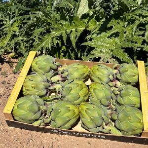 caja-alcachofas-tiernas