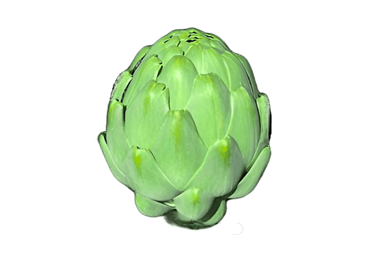 alcachofas tiernas sin fondo