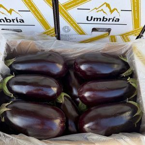 recogida-berenjena-negra