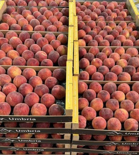 cajas de melocotones