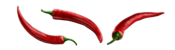 fondo-pimientos