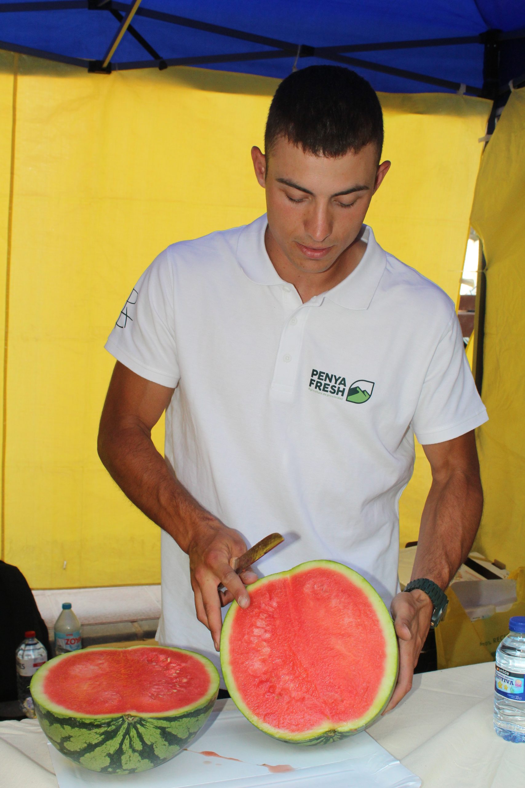 sandia-cortada